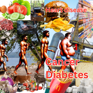 human evolution disease